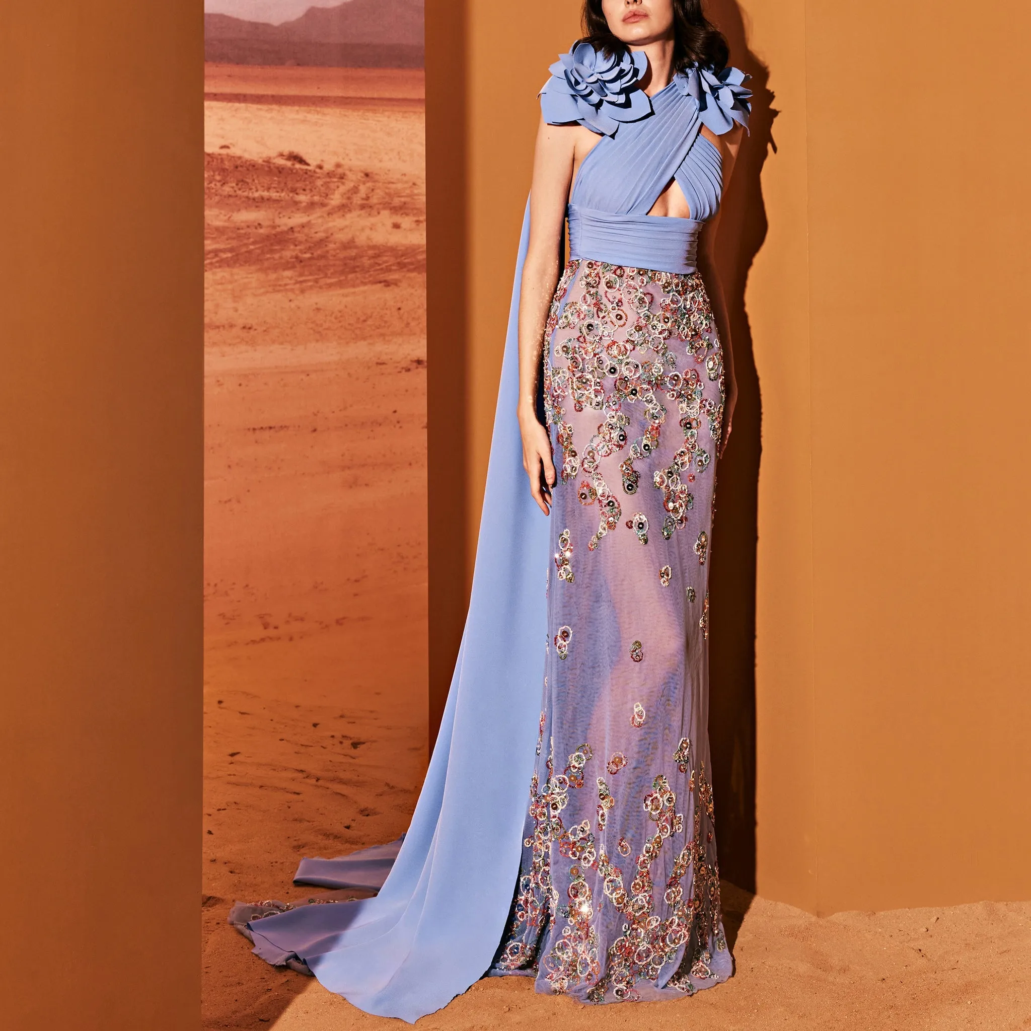 Crepe Dress With Sheer Tulle Skirt