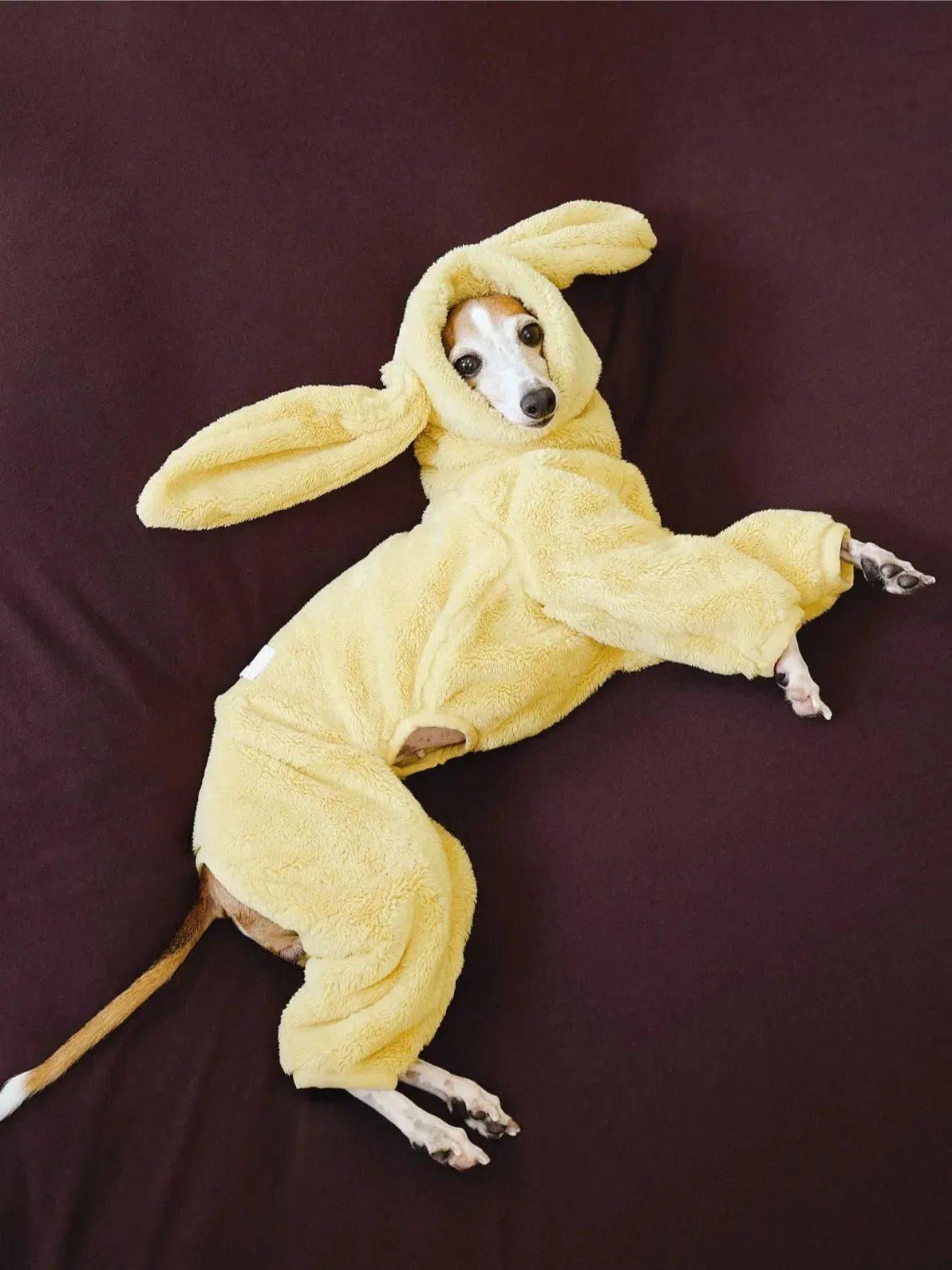 Ultra-Warm 4-Leg Fleece Jumpsuit with Detachable Bunny Ears