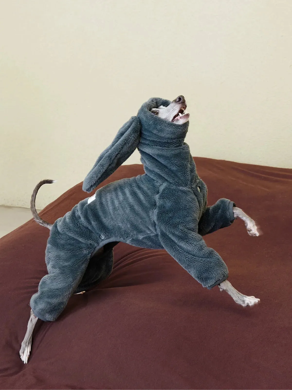 Ultra-Warm 4-Leg Fleece Jumpsuit with Detachable Bunny Ears