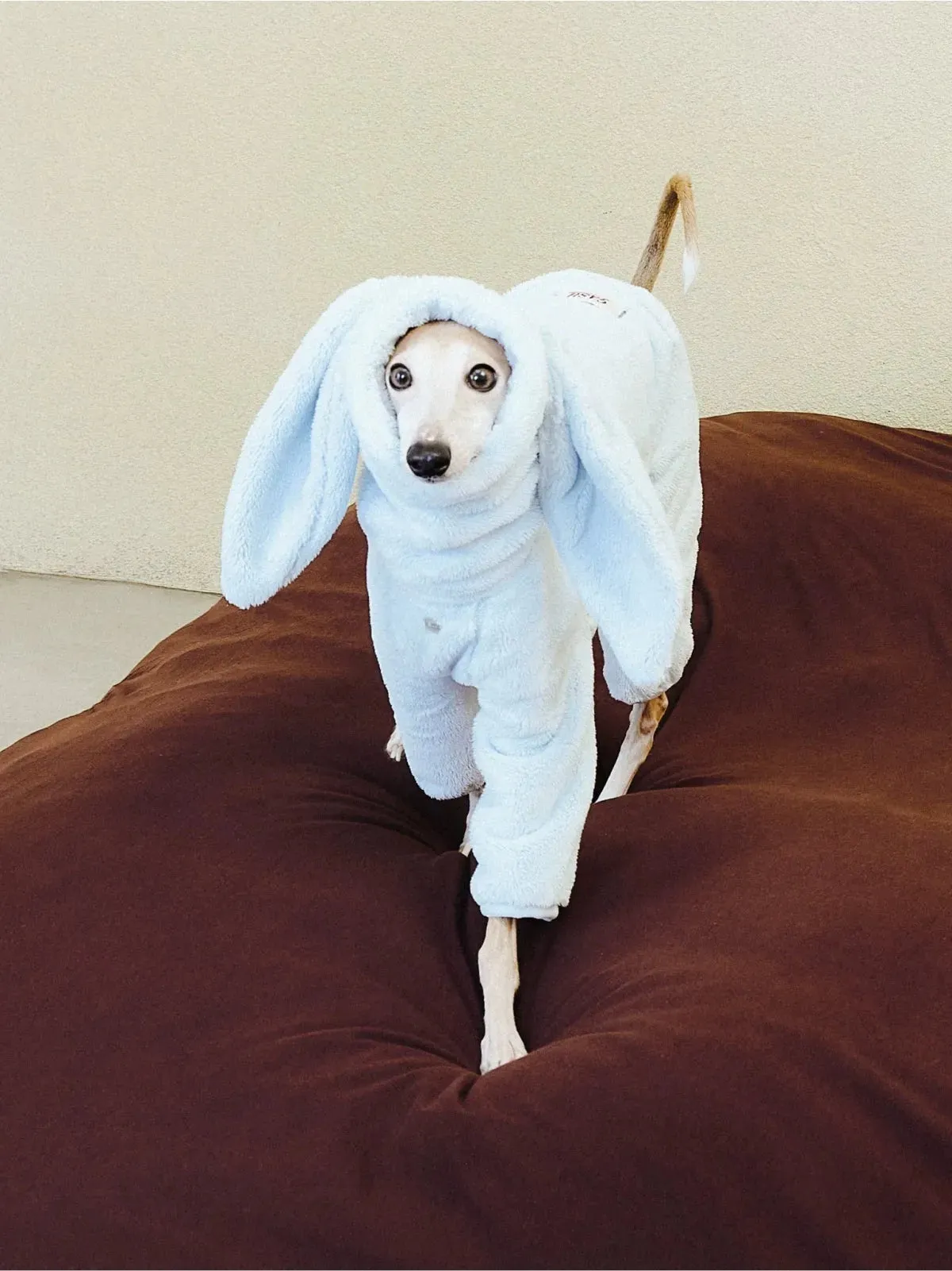 Ultra-Warm 4-Leg Fleece Jumpsuit with Detachable Bunny Ears