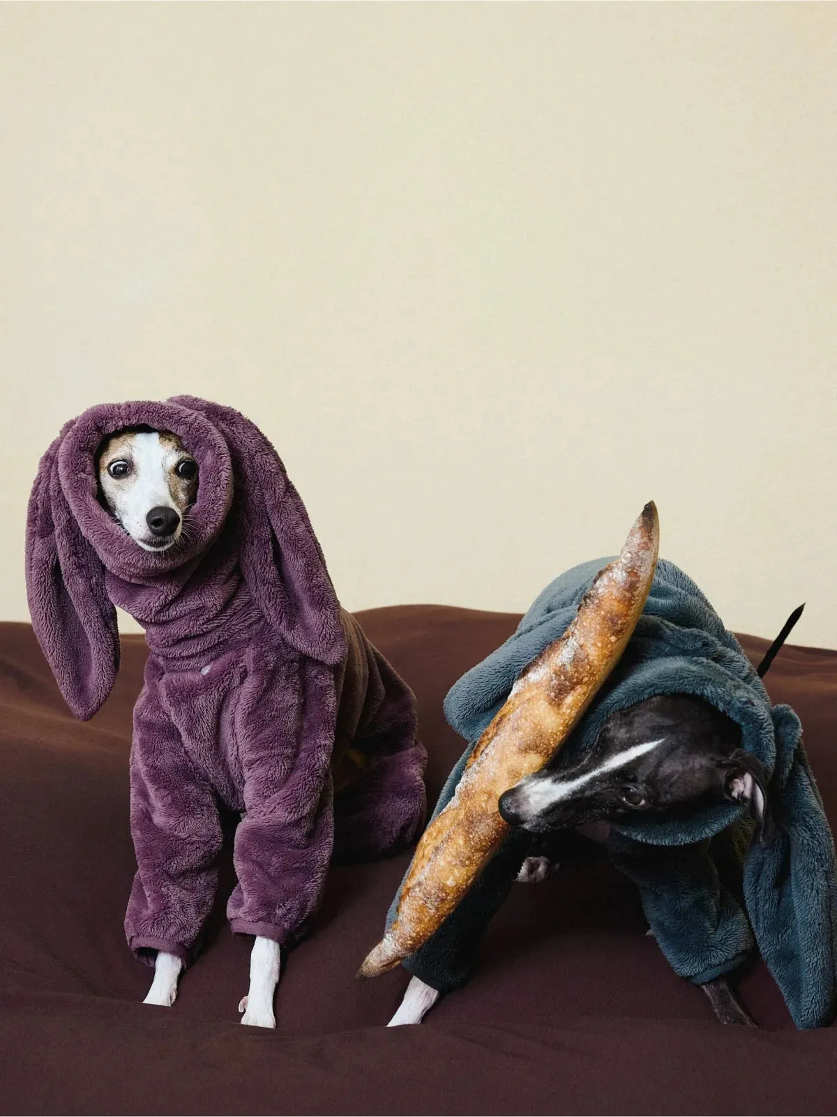 Ultra-Warm 4-Leg Fleece Jumpsuit with Detachable Bunny Ears