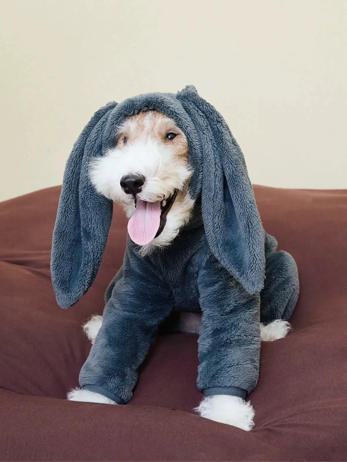 Ultra-Warm 4-Leg Fleece Jumpsuit with Detachable Bunny Ears