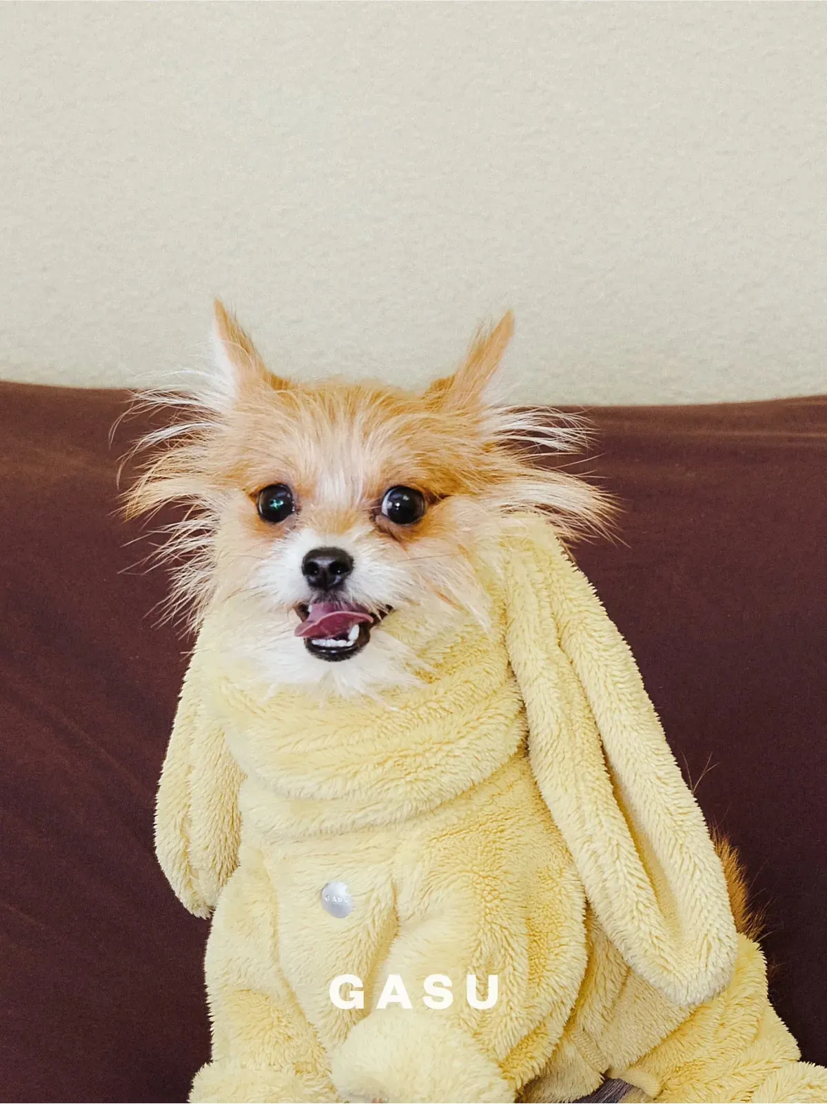 Ultra-Warm 4-Leg Fleece Jumpsuit with Detachable Bunny Ears