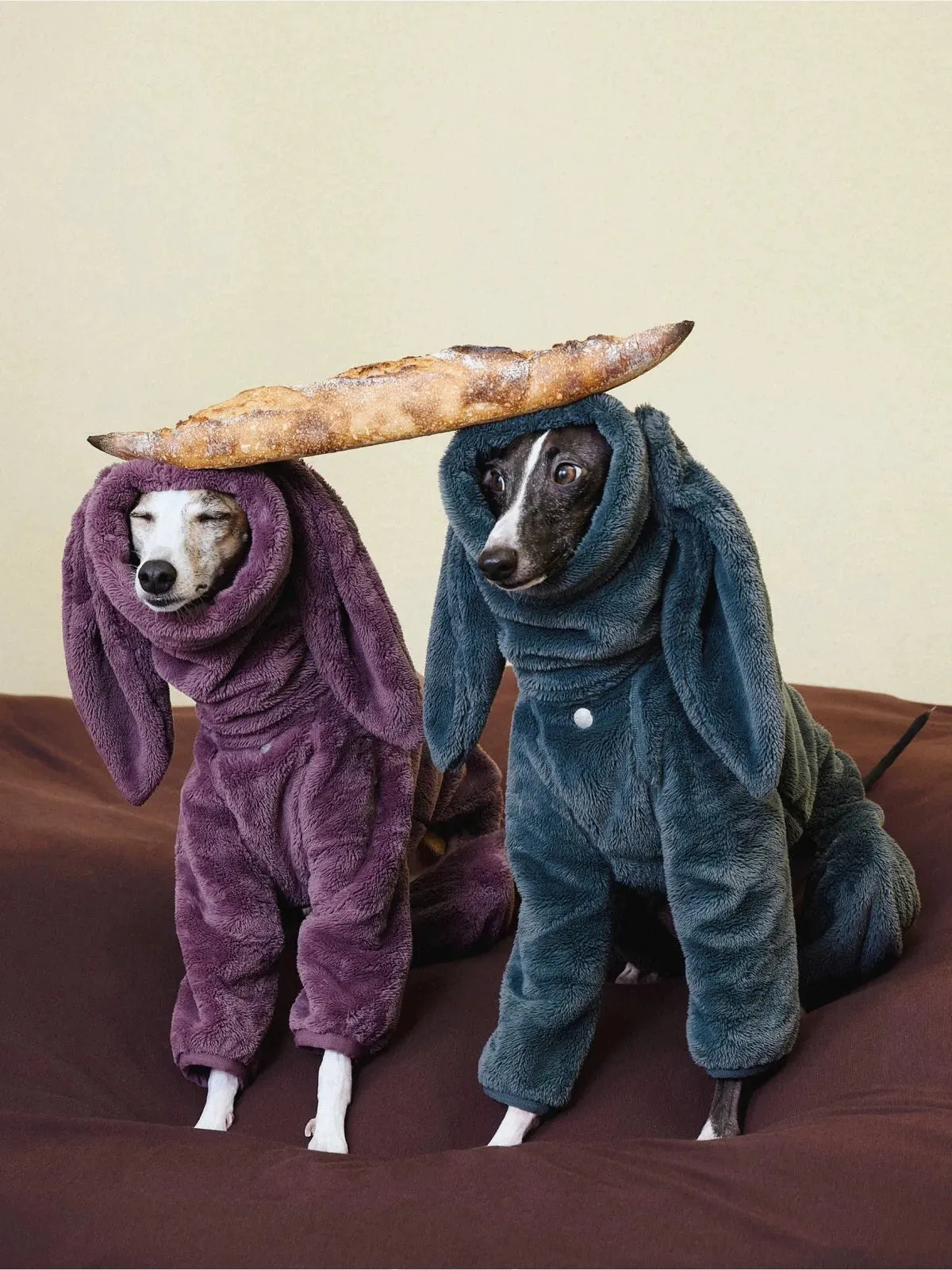 Ultra-Warm 4-Leg Fleece Jumpsuit with Detachable Bunny Ears