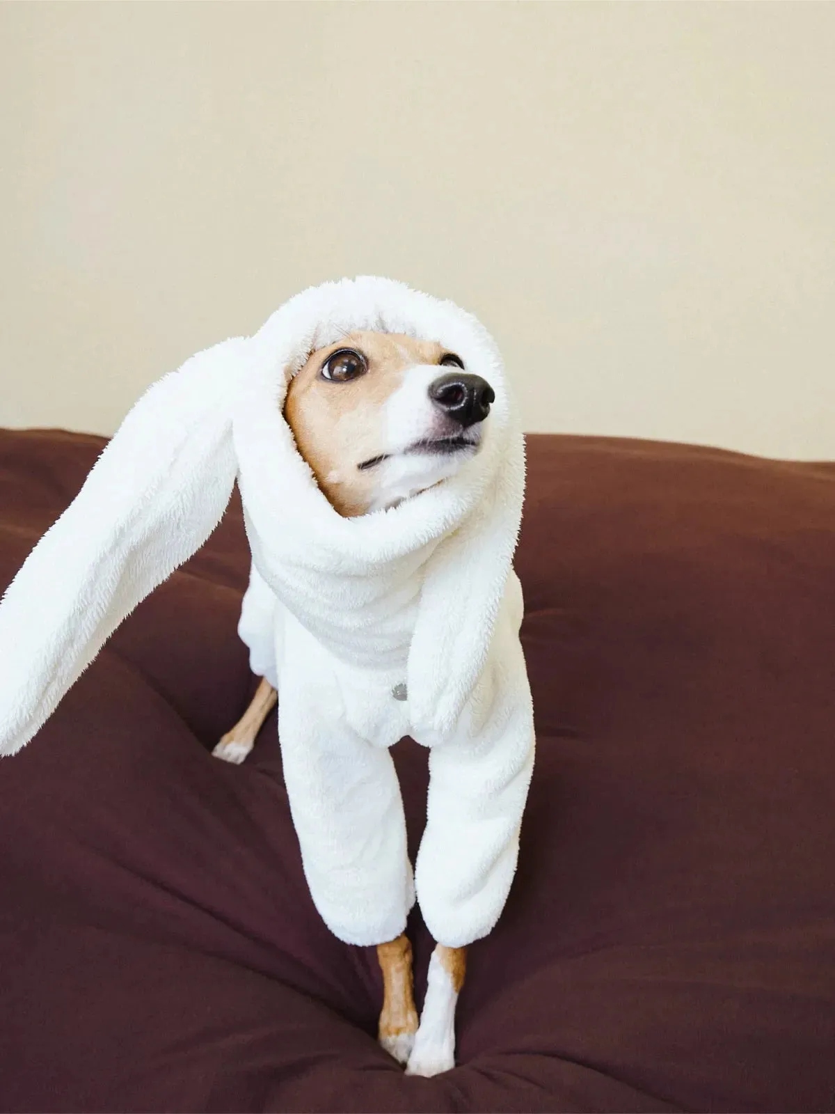 Ultra-Warm 4-Leg Fleece Jumpsuit with Detachable Bunny Ears